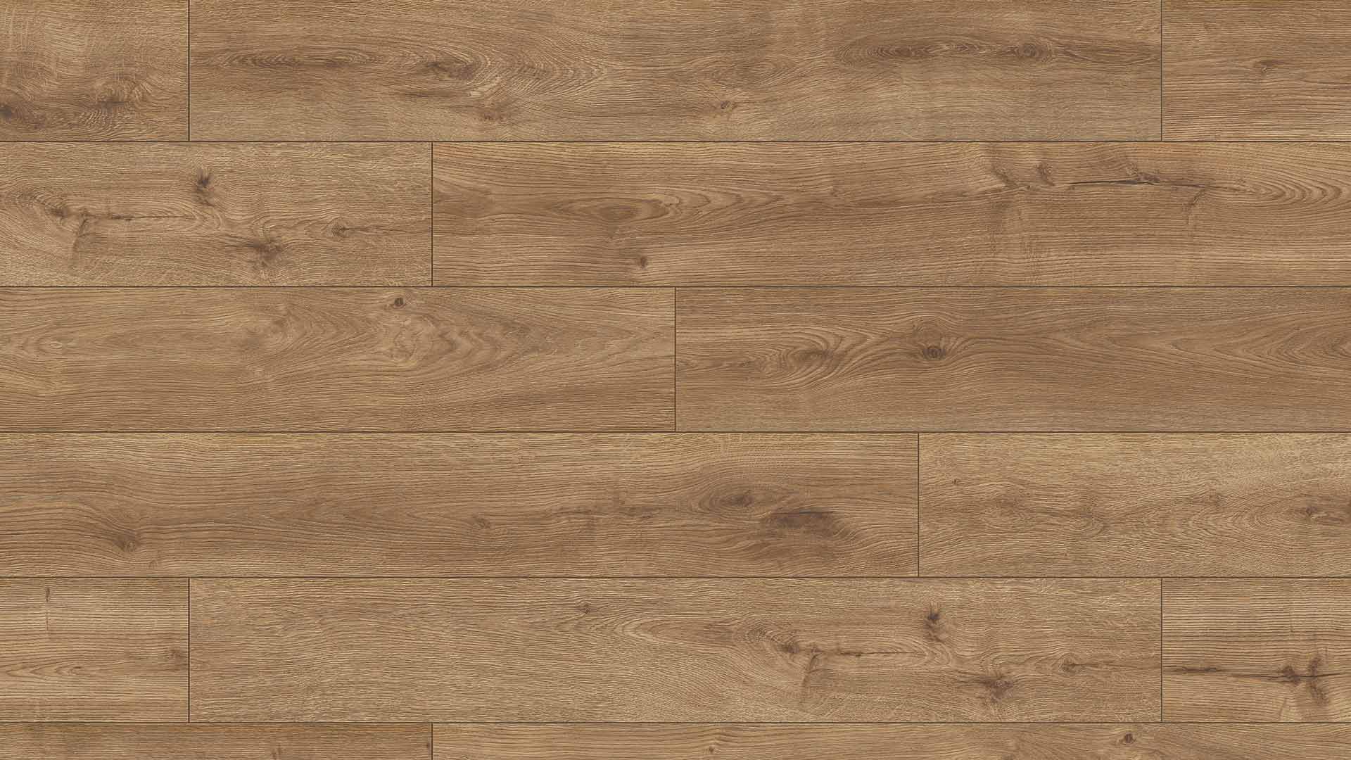Hillside Oak