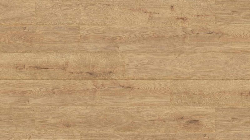 Sundance Oak