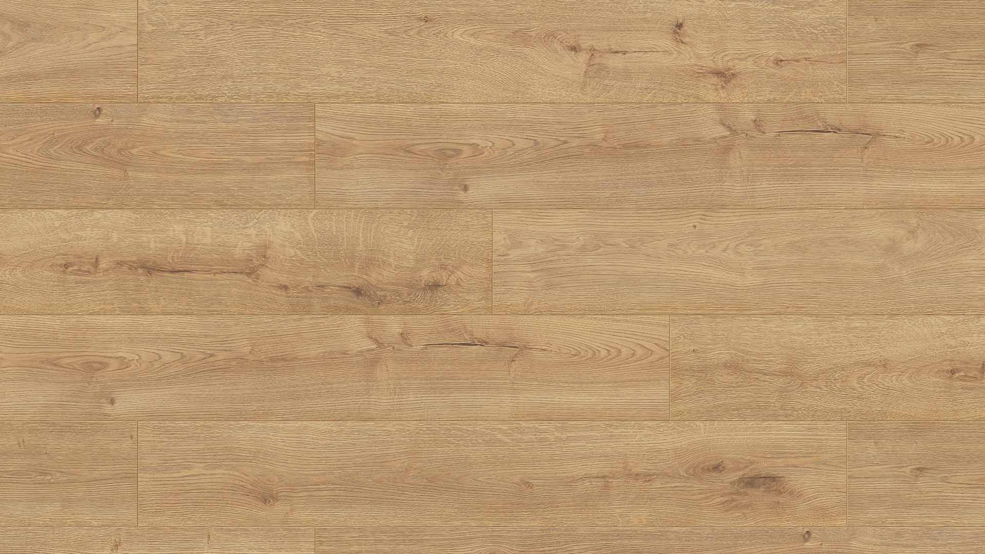 Sundance Oak