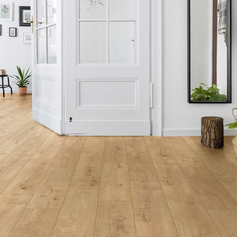 Sundance Oak