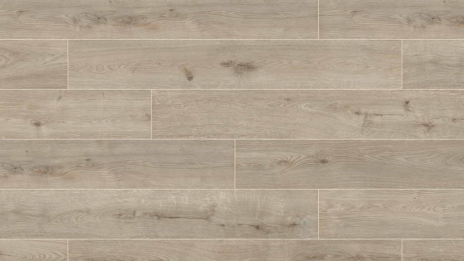 Silver Shadow Oak