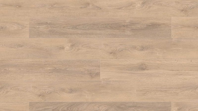 Blonde Oak