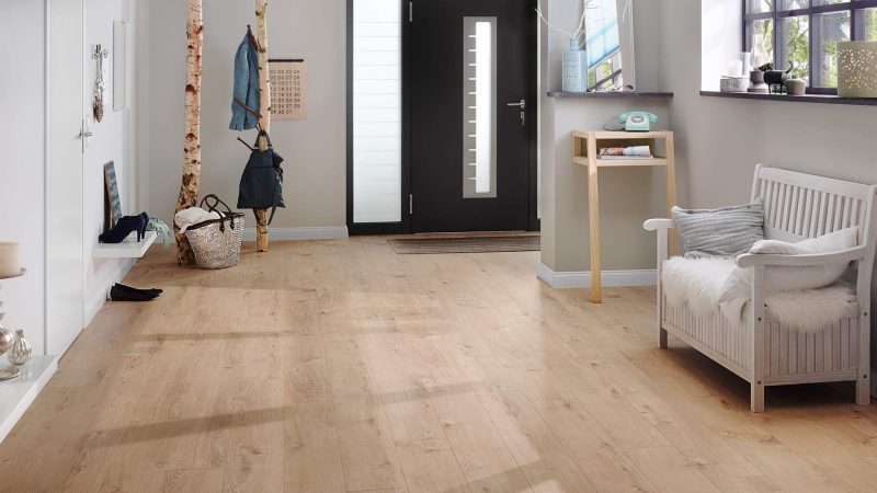 Lakeland Oak