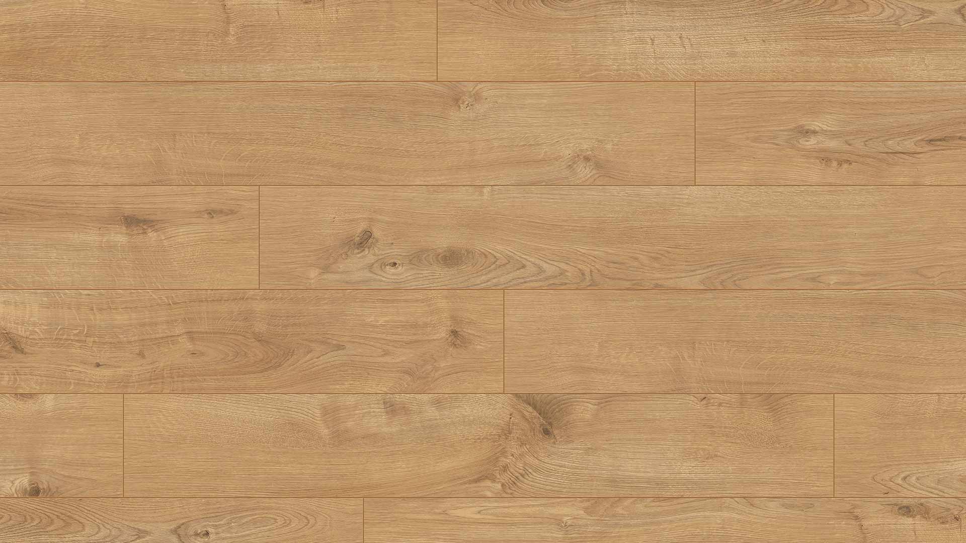 Sherwood Oak