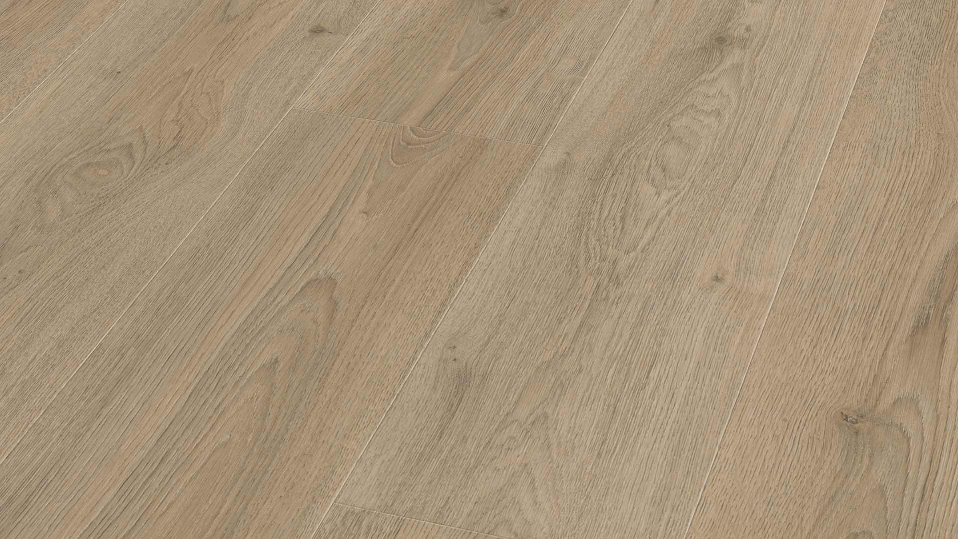 Trend Oak Brown