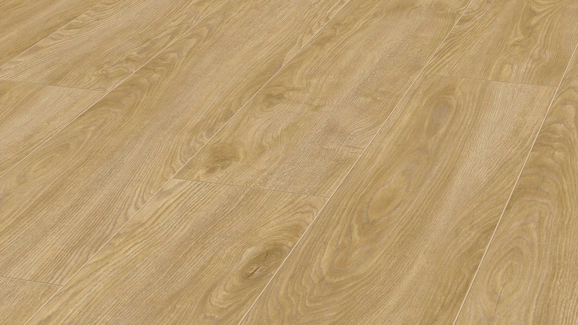 Barcelona Oak