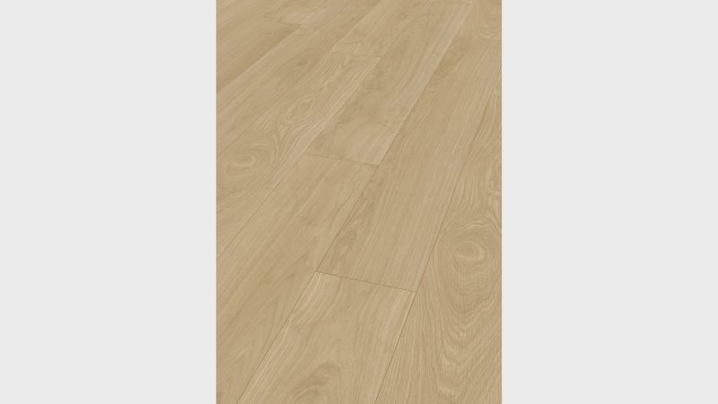 Waveless Oak Nature