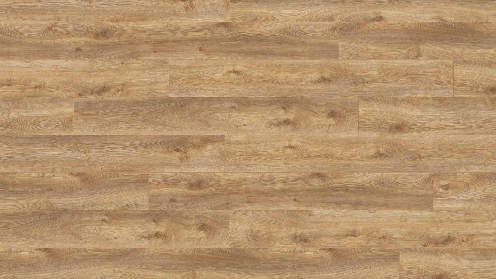 Makro Oak Nature