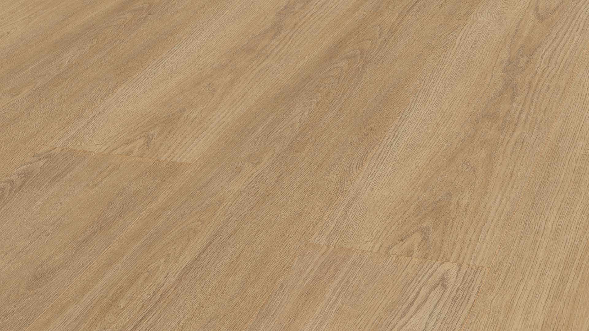 Finlay Oak Bronze