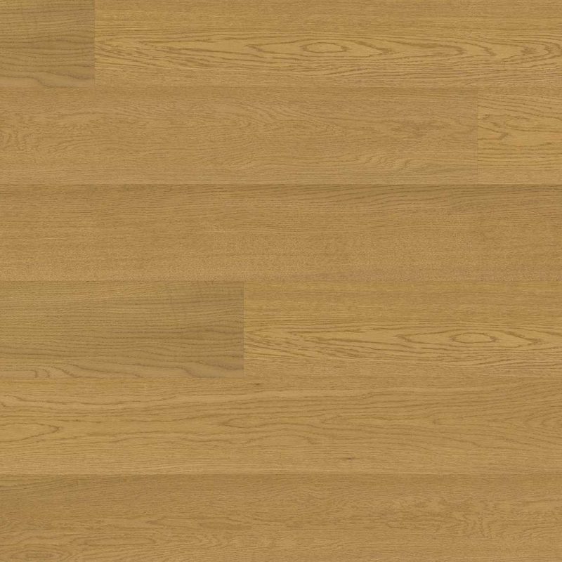 Oak Hazel