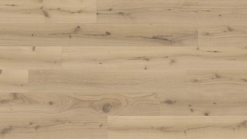 Oak Amsterdam