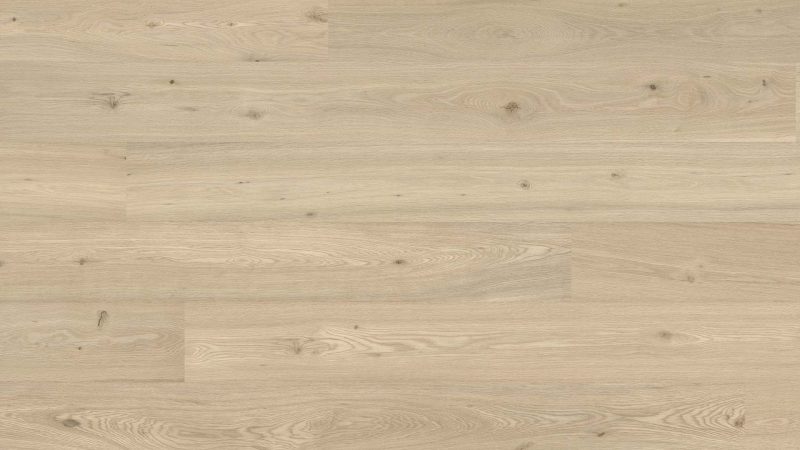 Oak Dublin