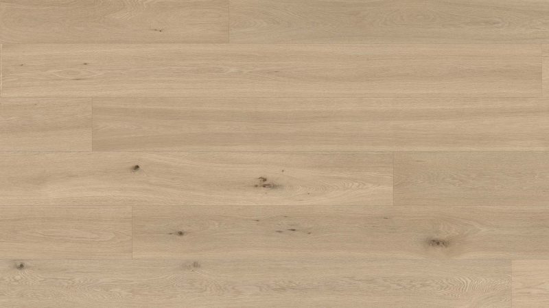 Oak Florence