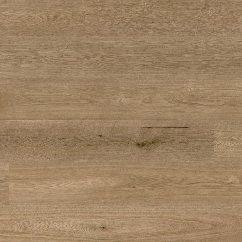 Oak Lisbon