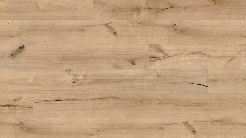 Oak Santa Cruz