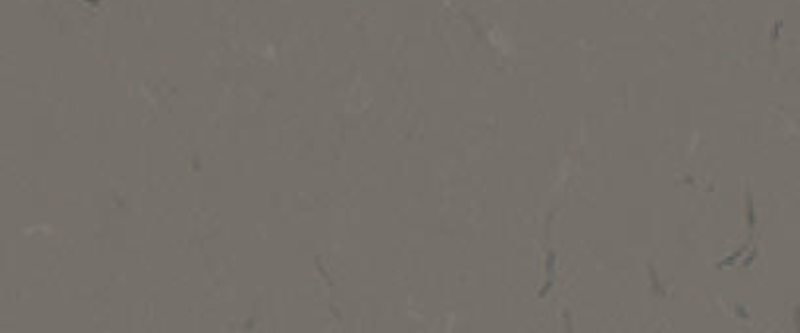 Steeple Grey