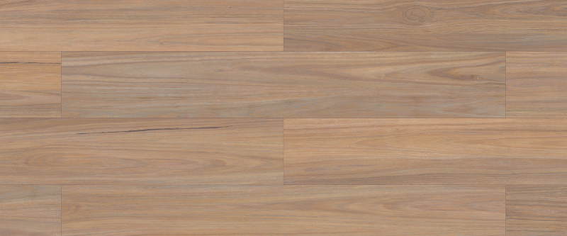 TASMANIAN OAK