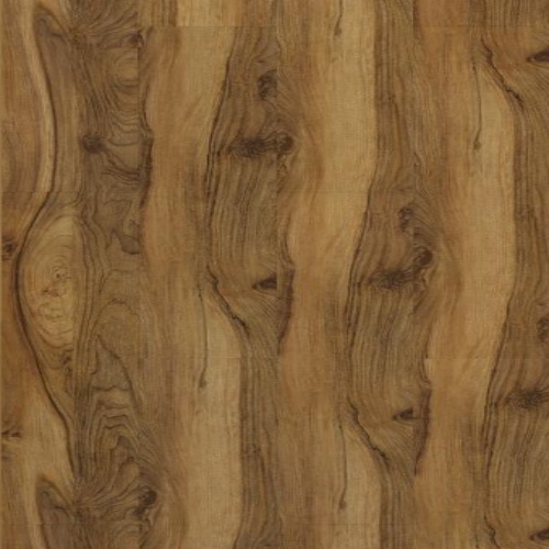 GOLD WALNUT