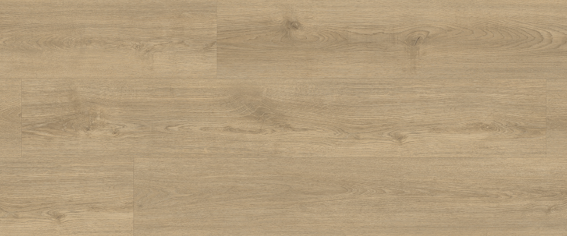 European Oak