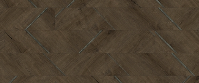 Modern Conifer