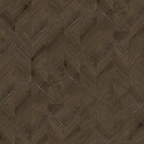 Modern Conifer