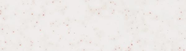 Tapioca Pearl