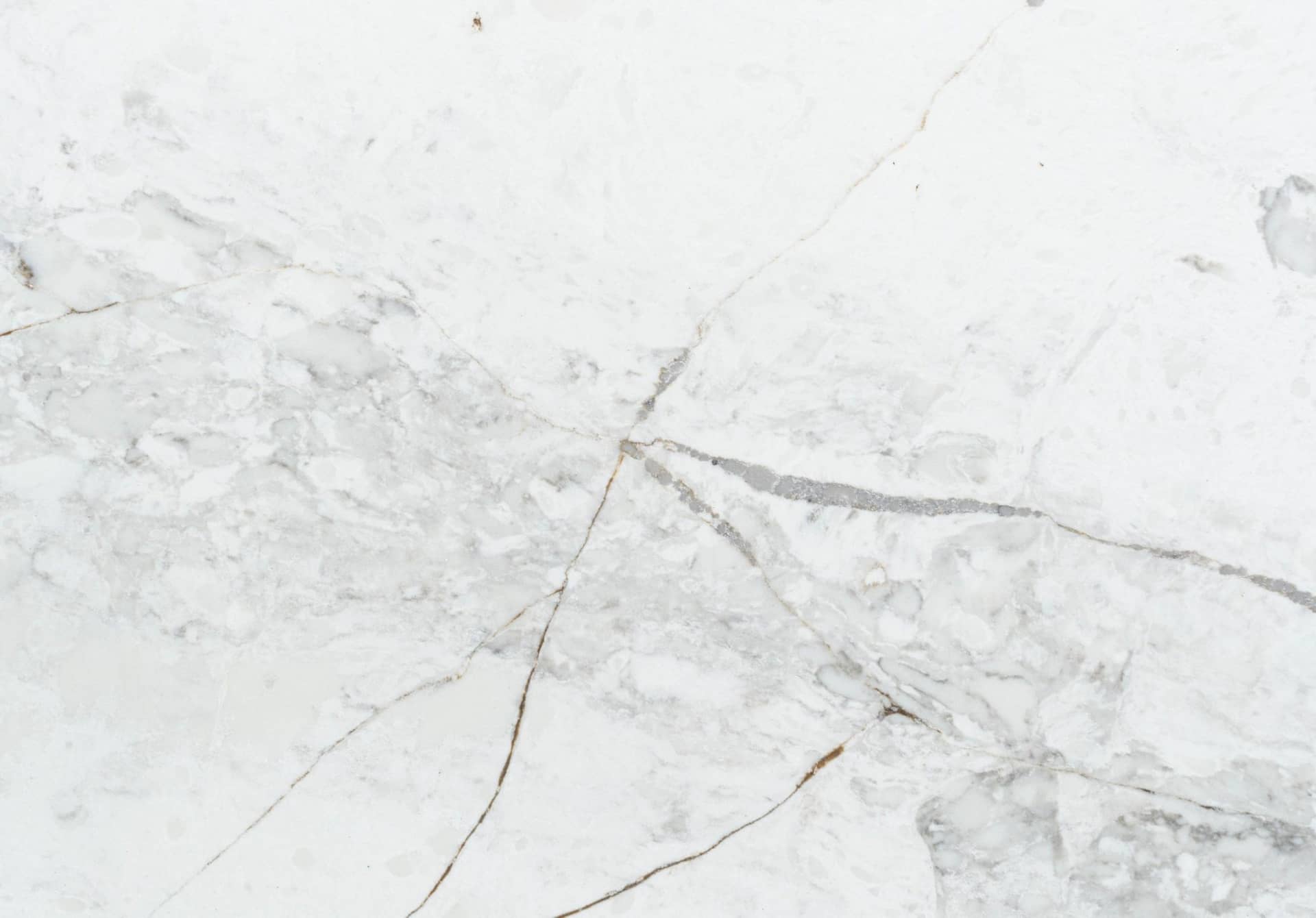 Lacus BQ6803 close-up