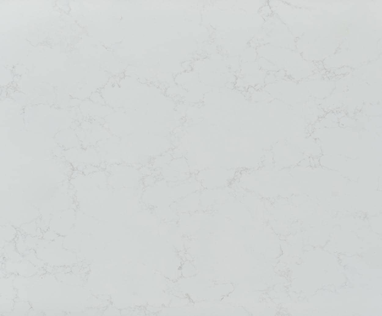 ﻿Elbert BQ8401 close-up