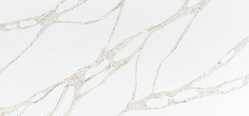 Vivalioro BQ8918 surface