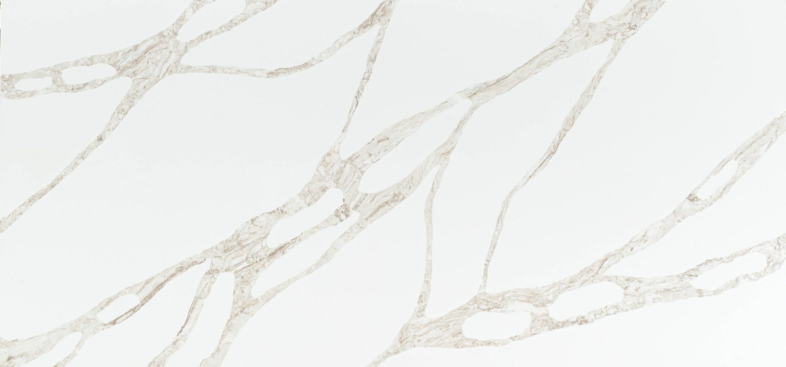 Vivalioro BQ8918 surface