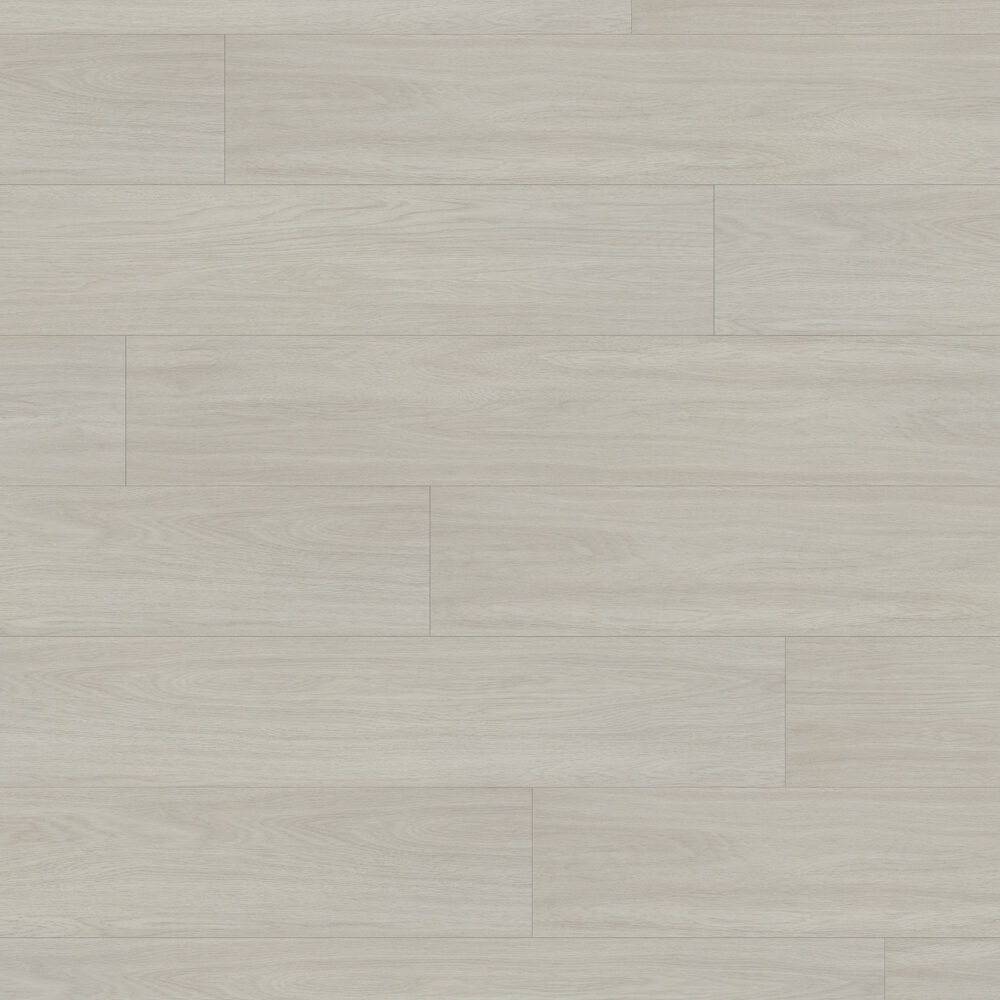 Agostino Xtra — Beaulieu