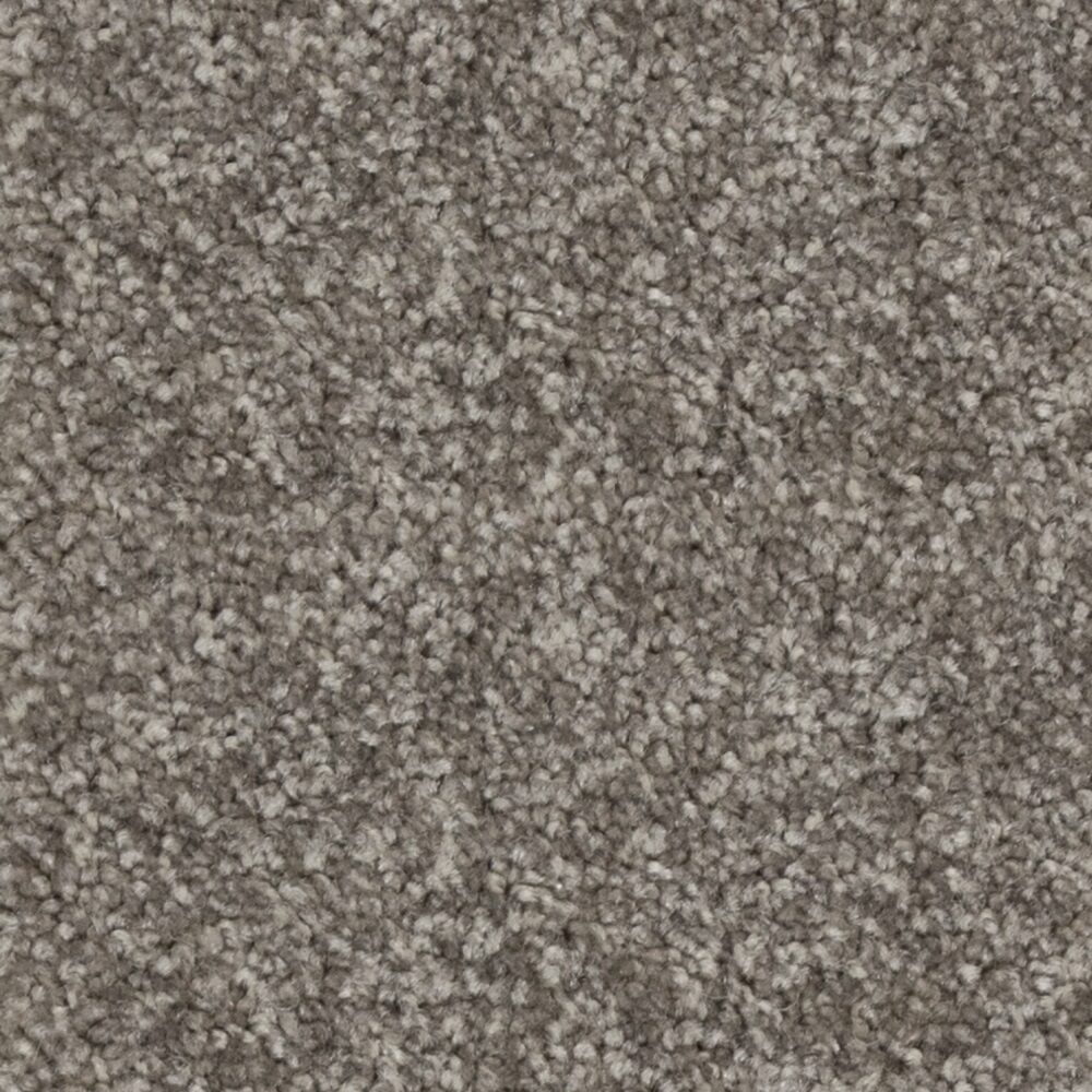 Webster Sdn by Beaulieu — Carpet flooring · Canadian Flooring & Renovations Vancouver