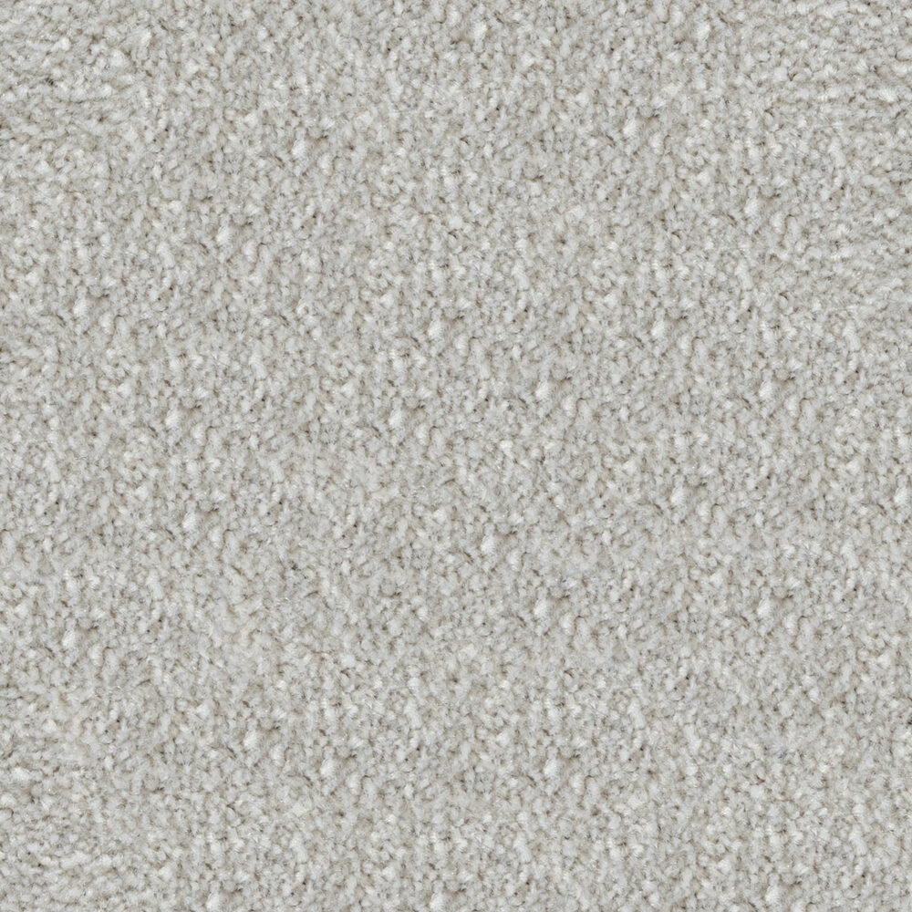 Spartacus by Beaulieu — Carpet flooring · Canadian Flooring & Renovations Vancouver