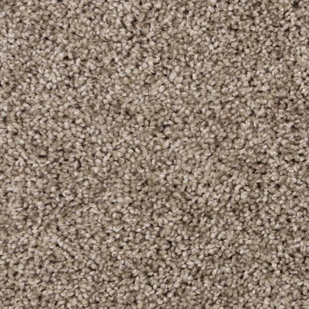 Relaxing Getaway by Beaulieu — Carpet flooring · Canadian Flooring & Renovations Vancouver