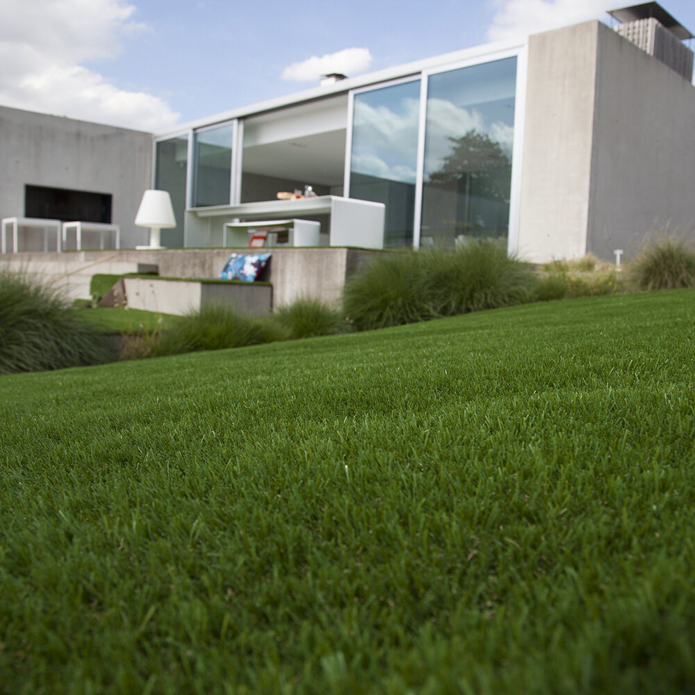 Hamptons — Beaulieu