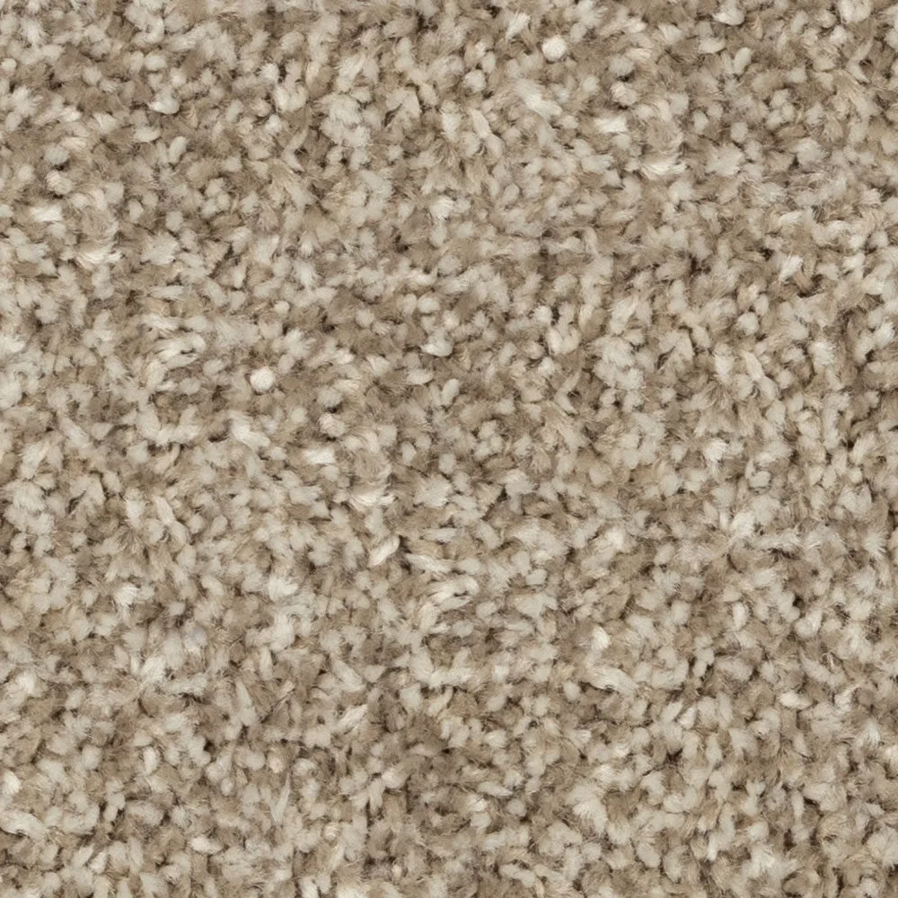 Cosy Ambiance by Beaulieu — Carpet flooring · Canadian Flooring & Renovations Vancouver