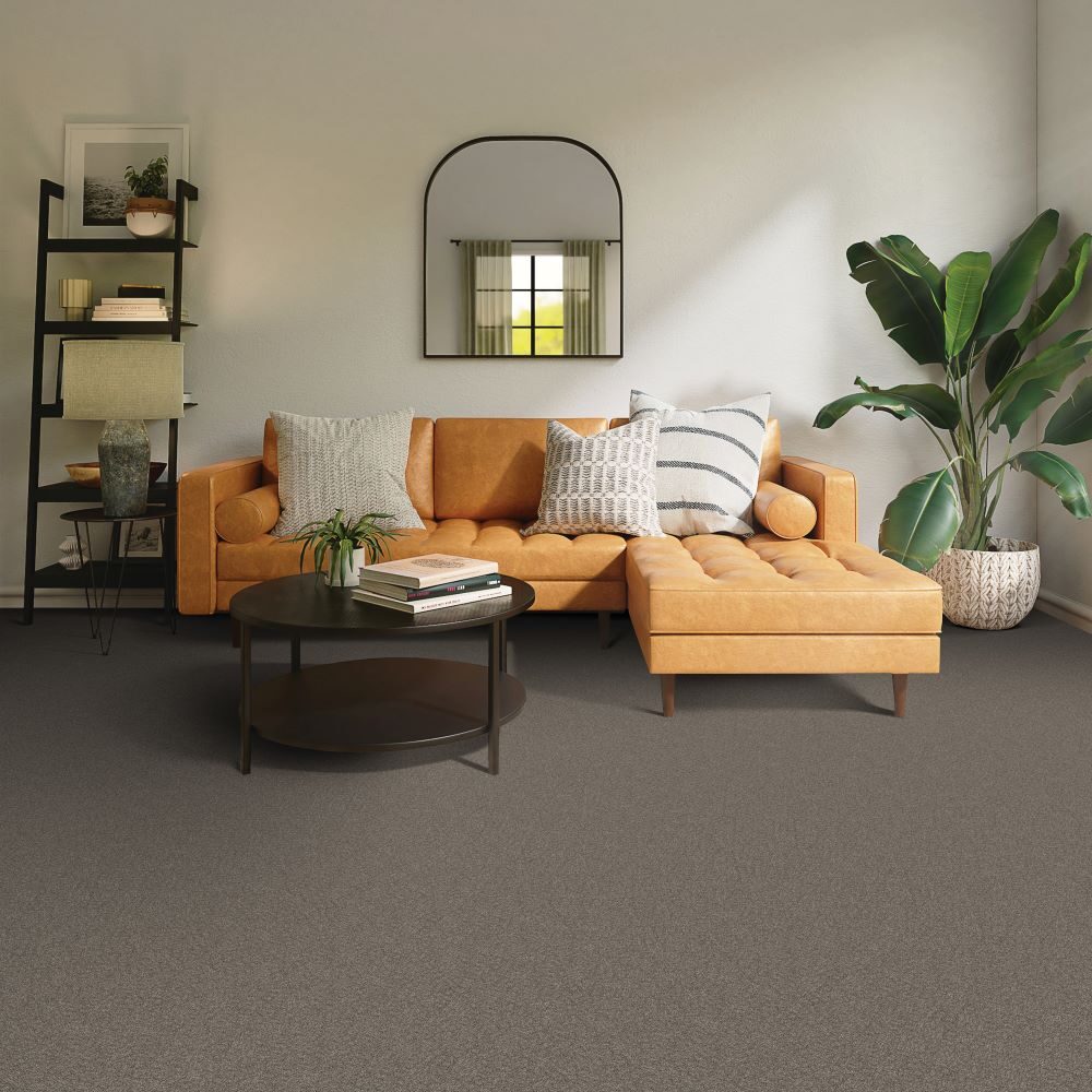 Serene Ambiance — Beaulieu