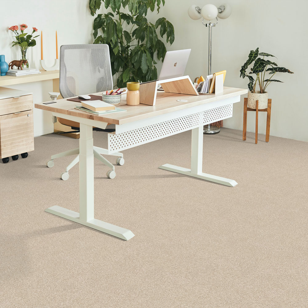 Warm Ambiance by Beaulieu — Carpet flooring · Canadian Flooring & Renovations Vancouver