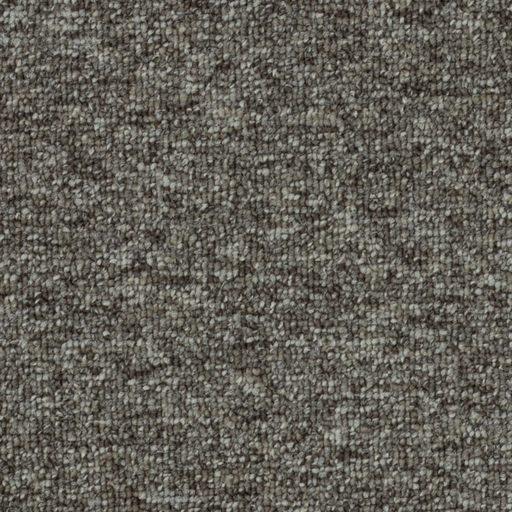 Axion 26 by Beaulieu — Carpet flooring · Canadian Flooring & Renovations Vancouver