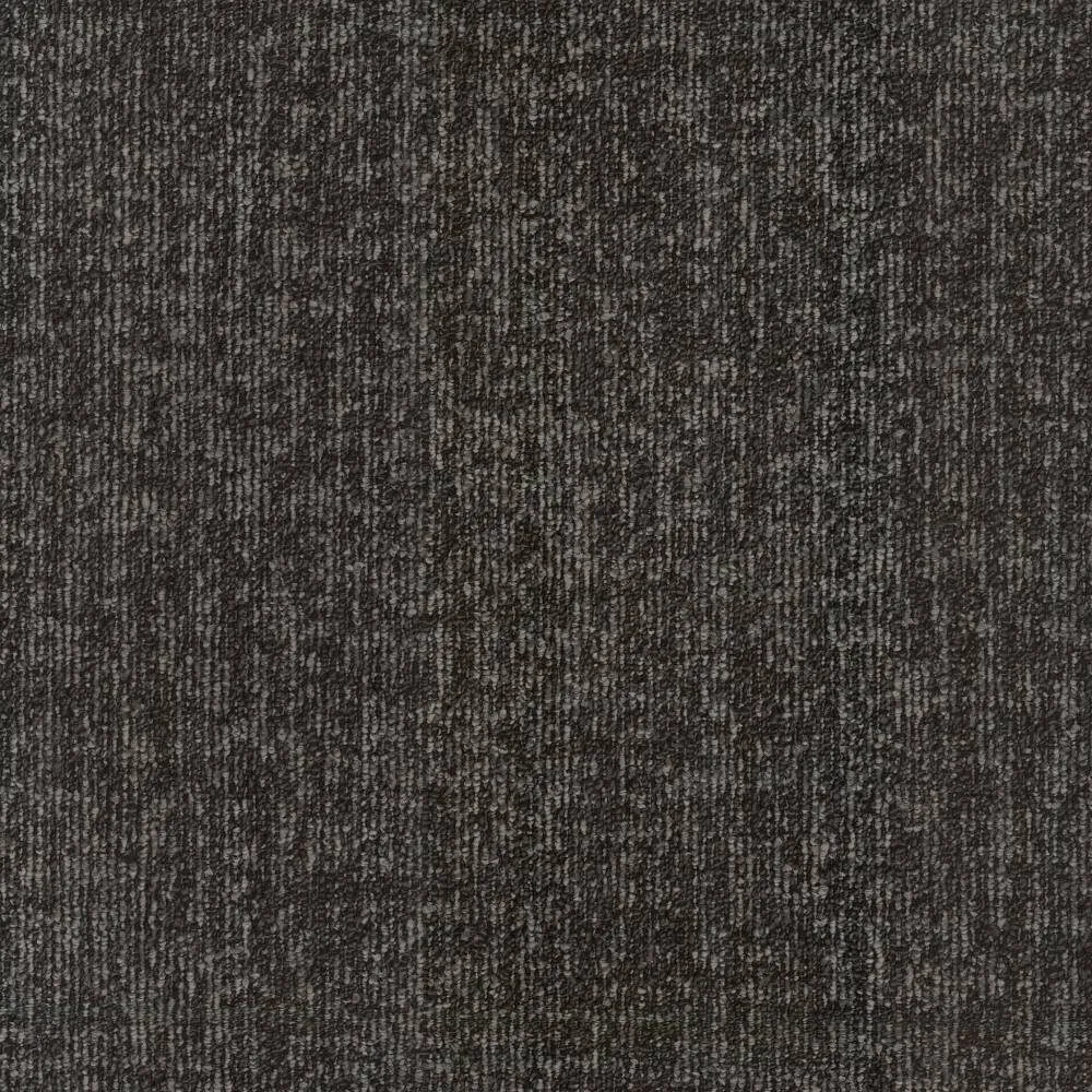 Echo — Beaulieu