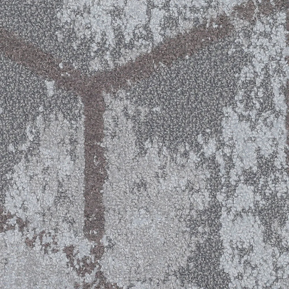 Fossil — Beaulieu