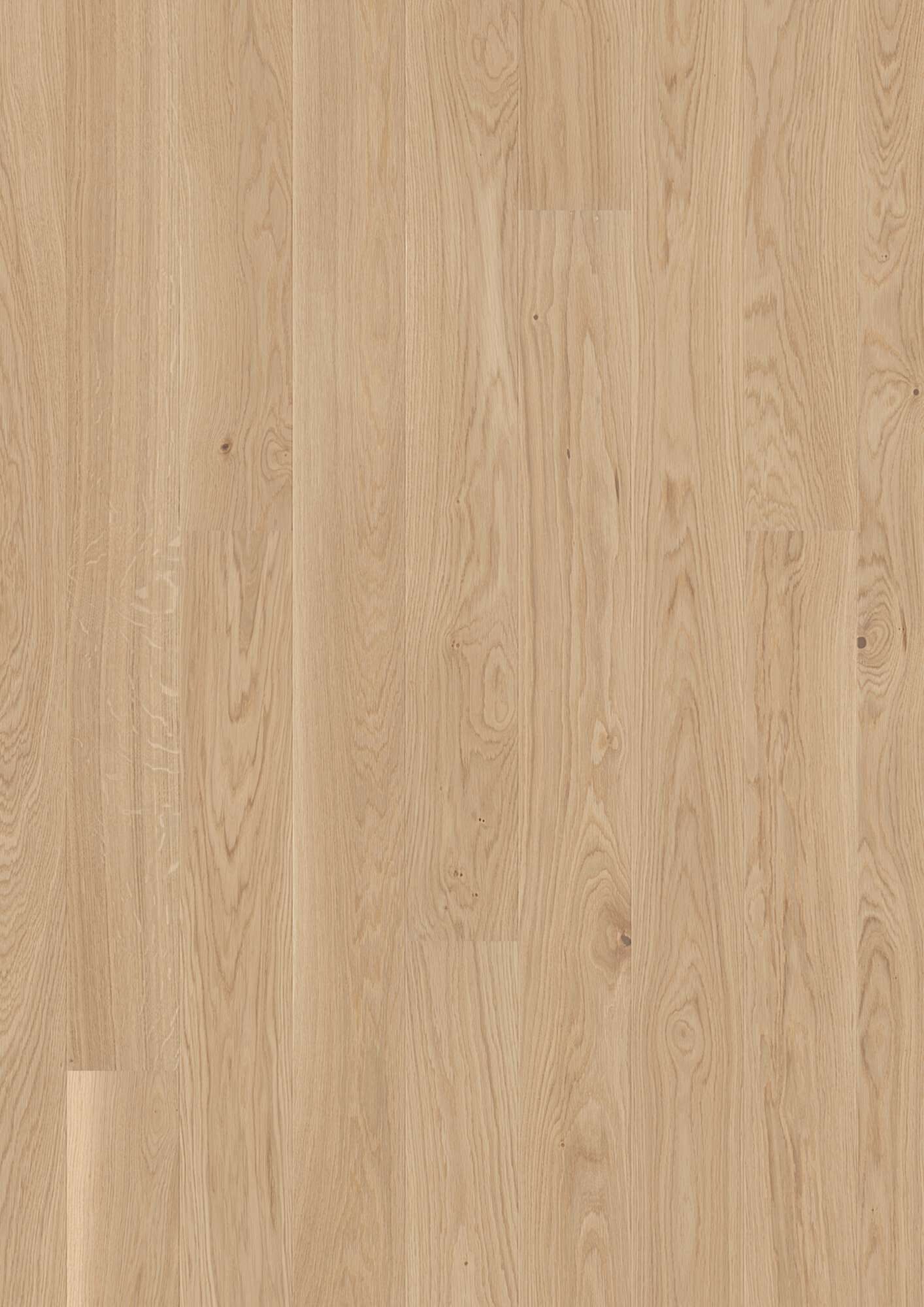 Plank 138 Maple Canadian Transparent — Boen