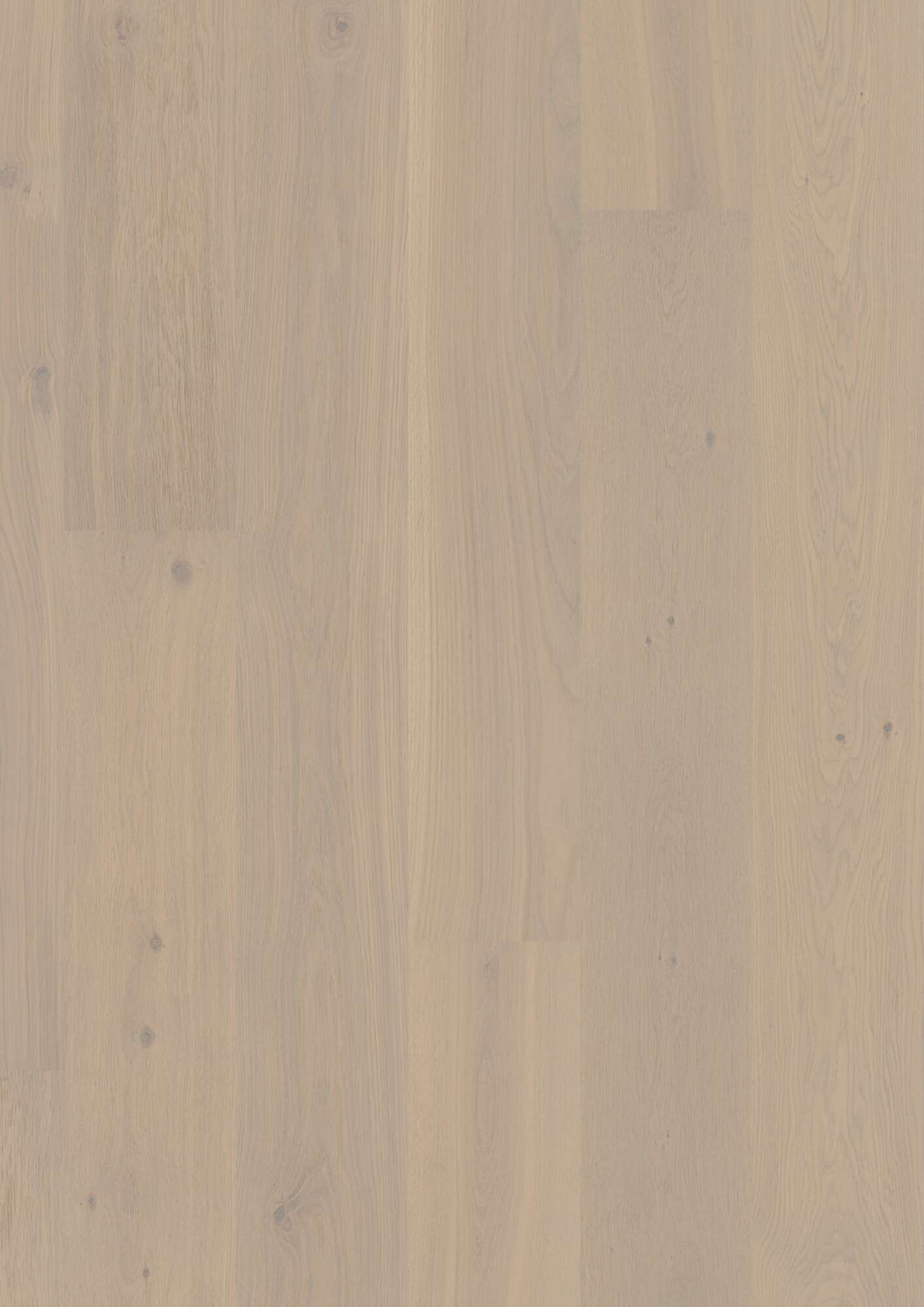 Plank Castle Oak Warm Cotton — Boen