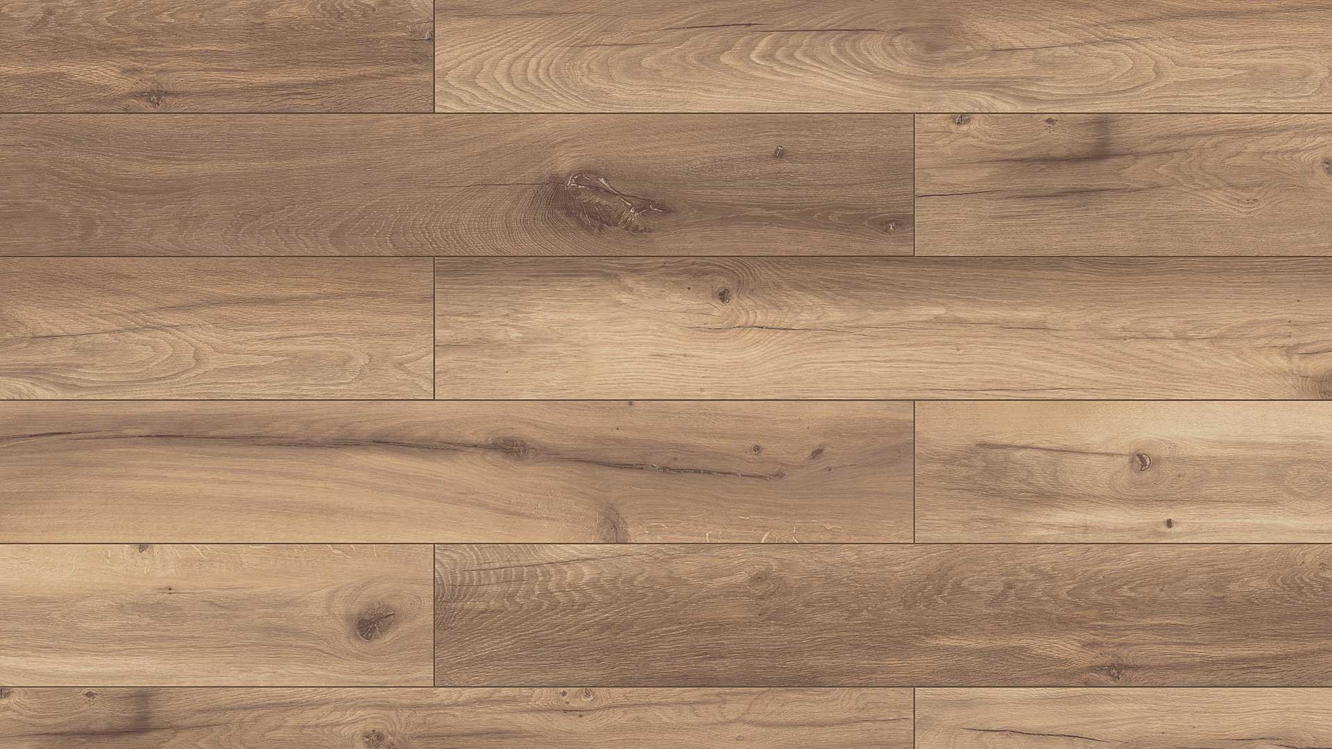 Alamos Oak — ETM