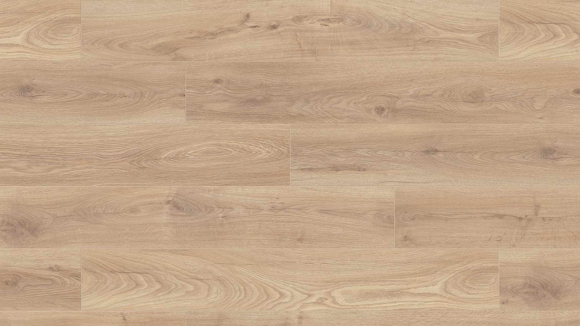 Biscotti Oak — ETM