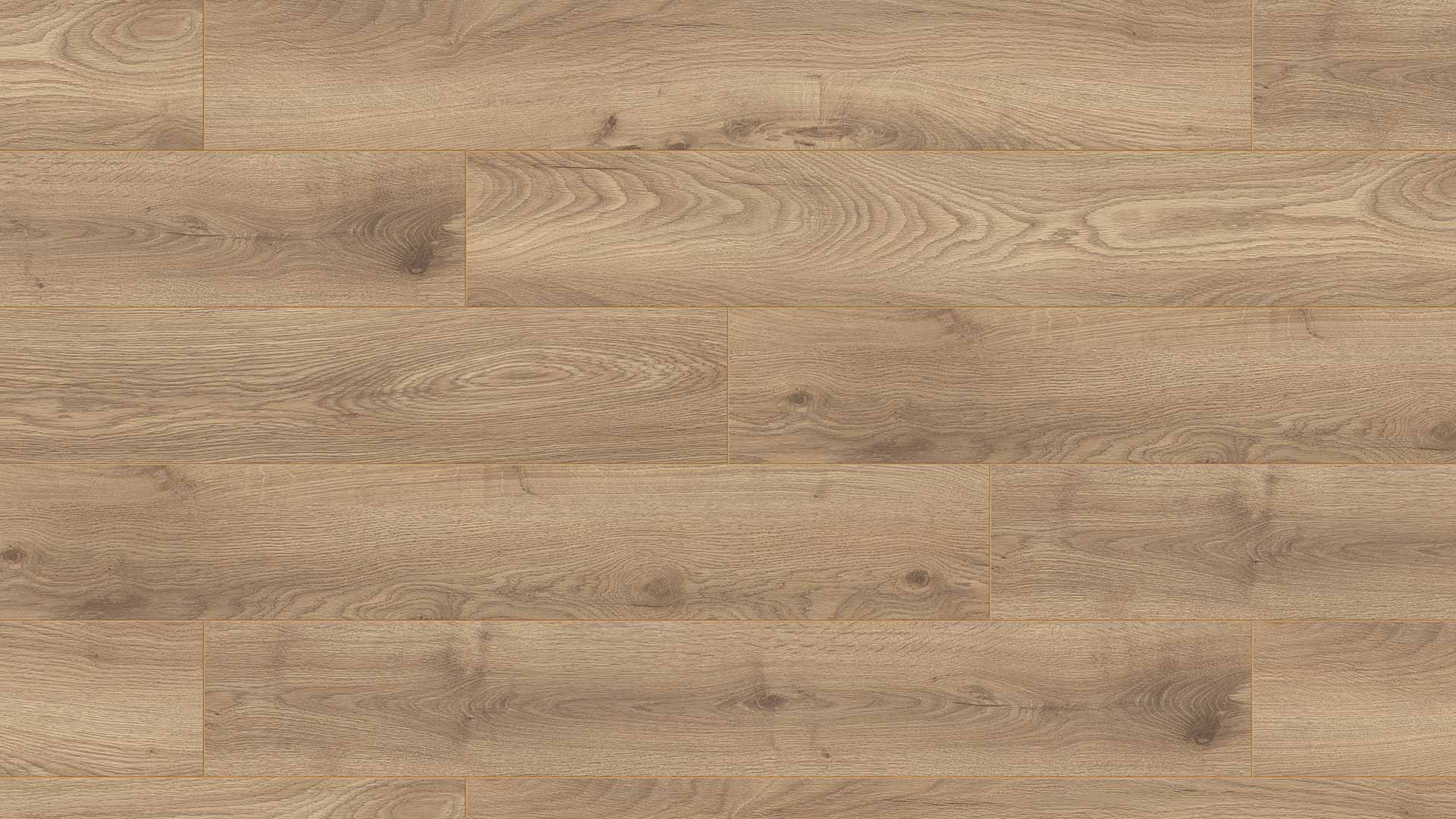 Haybridge Oak — ETM