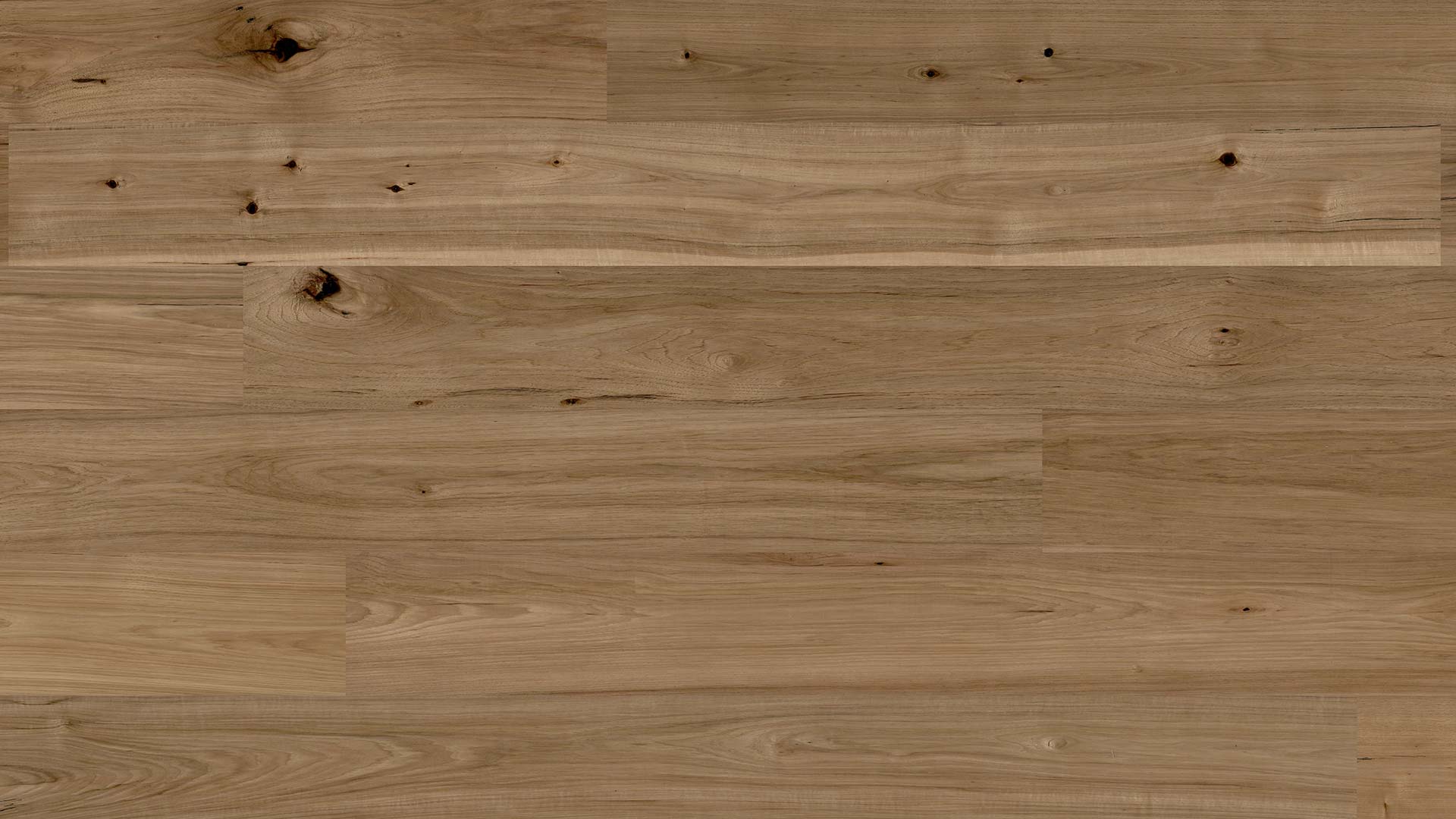 Hickory Baltic — ETM