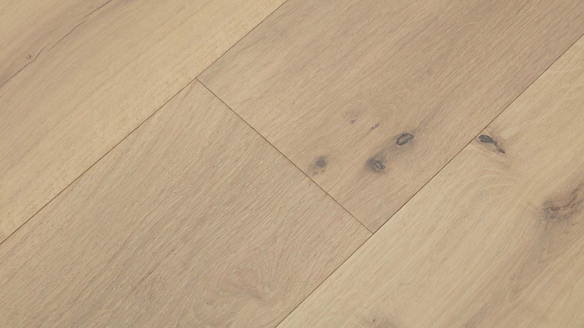 Oak Amsterdam — ETM