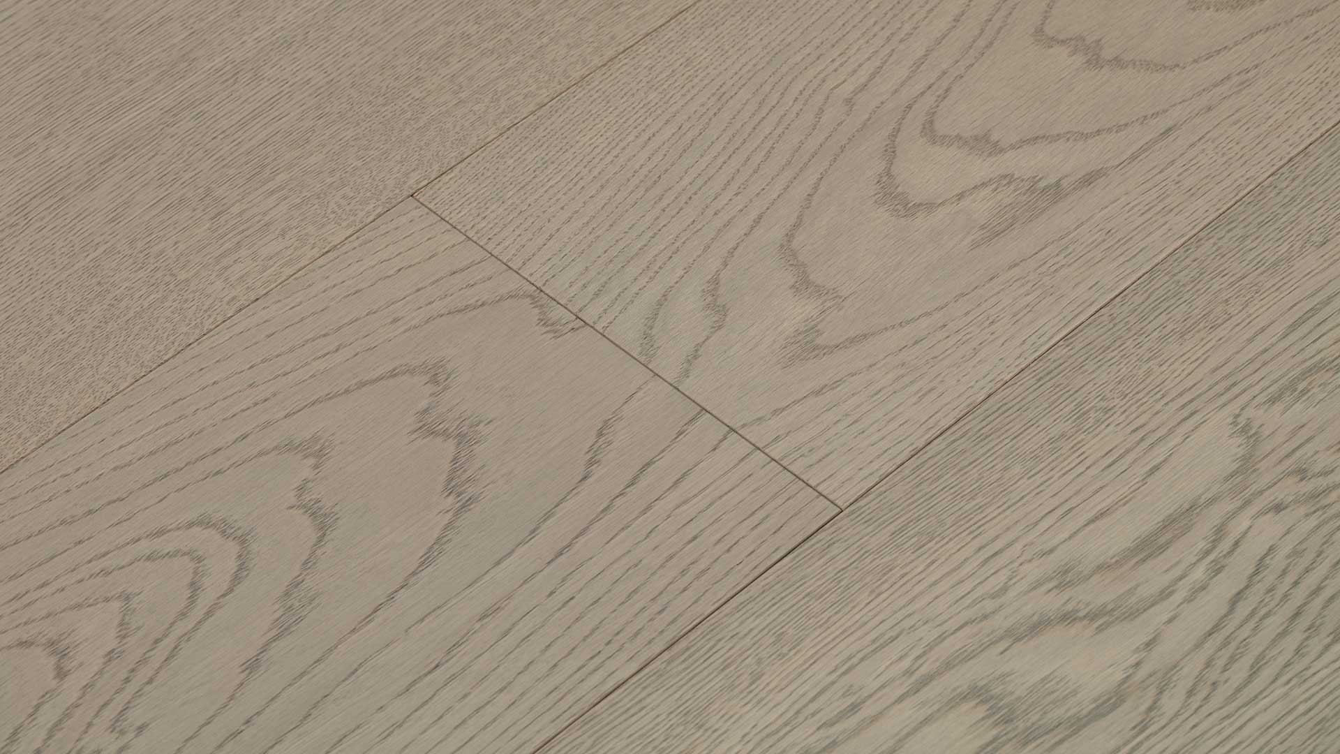 Oak Coastal Fog — ETM