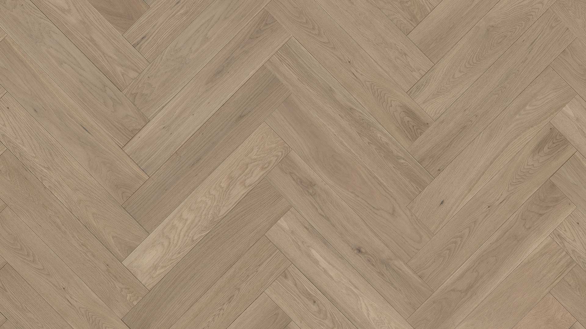 Oak Dijon — ETM